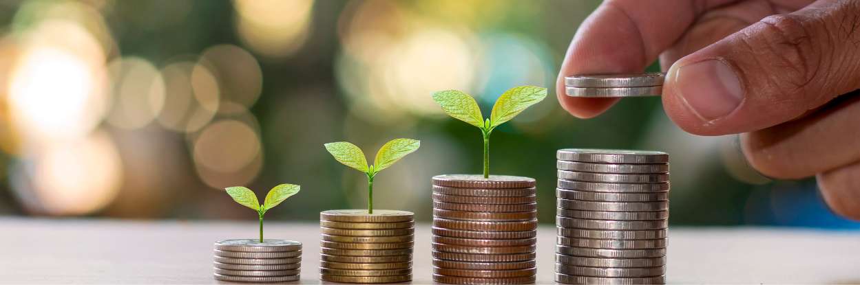 xr:d:DAFuPE1Gsis:3,j:5539830224835326346,t:23091212